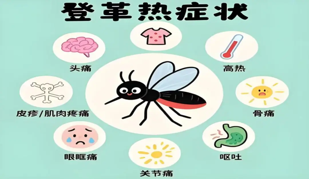 登革热疟疾防控措施_境外传染病输入风险_疫情风险